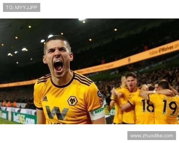 英超富勒姆主场对阵狼队—一场充满悬念的比赛